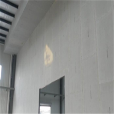 莱城宁波ALC板|EPS加气板隔墙与混凝土整浇联接的实验研讨